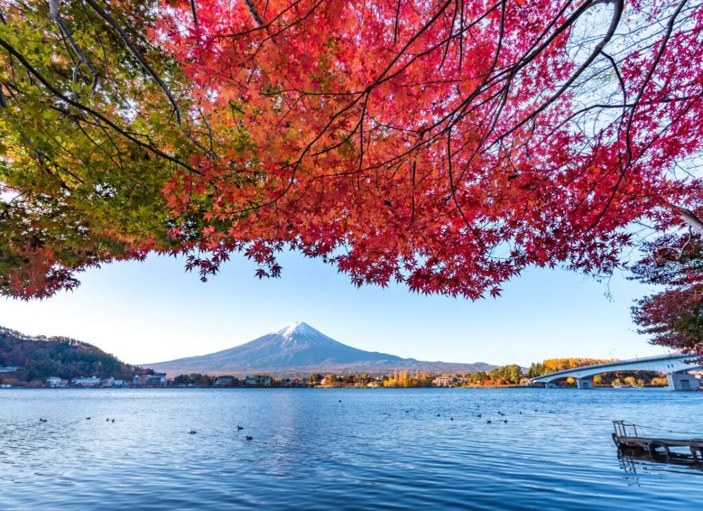 Mount Fuji view from Lake Kawaguchiko