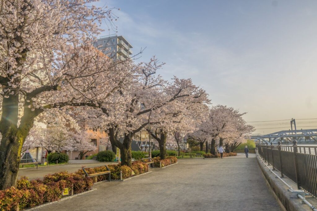 Sumida Park Tokyo